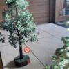 green-aventurine-tree