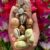 gomti-chakra-wealth-kit