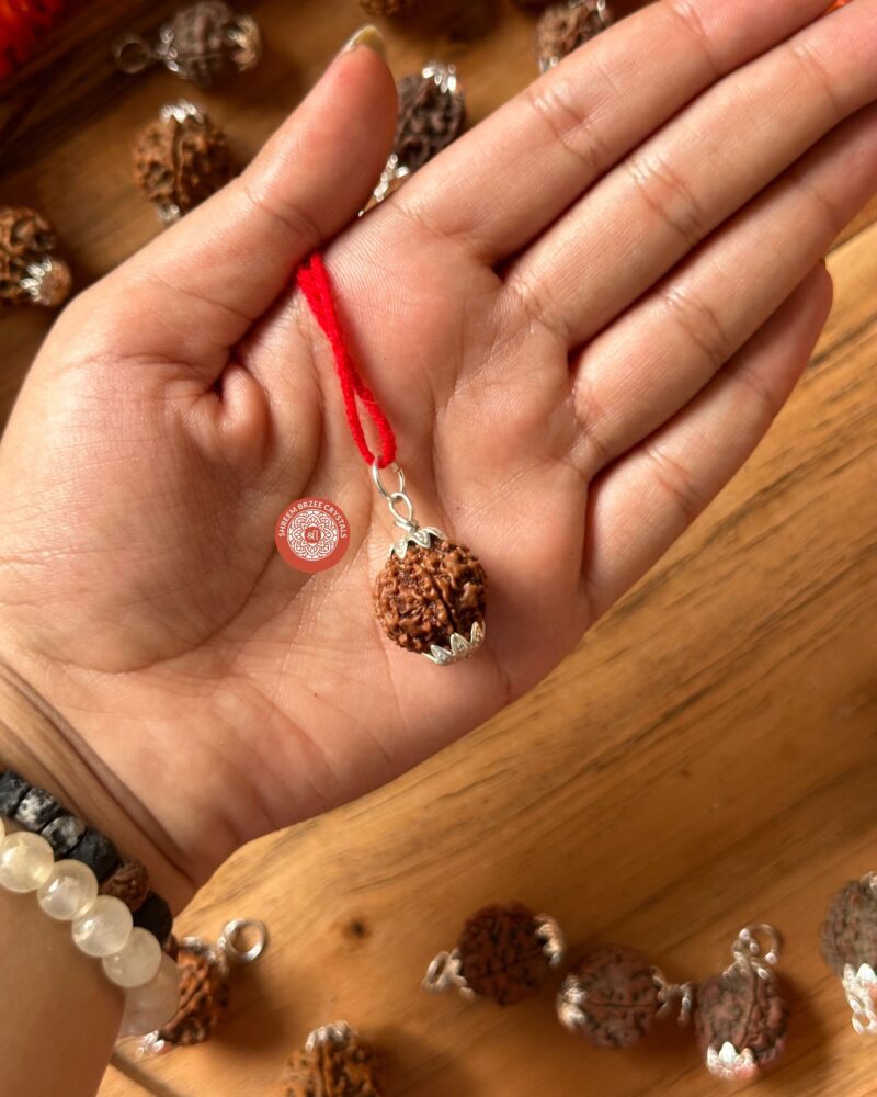 7-mukhi-rudraksh-pendant