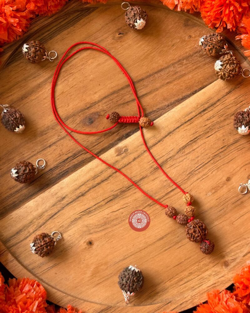 5-mukhi-rudraksh-necklace