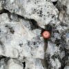 moonstone-raw