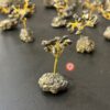 pyrite-cluster-tree